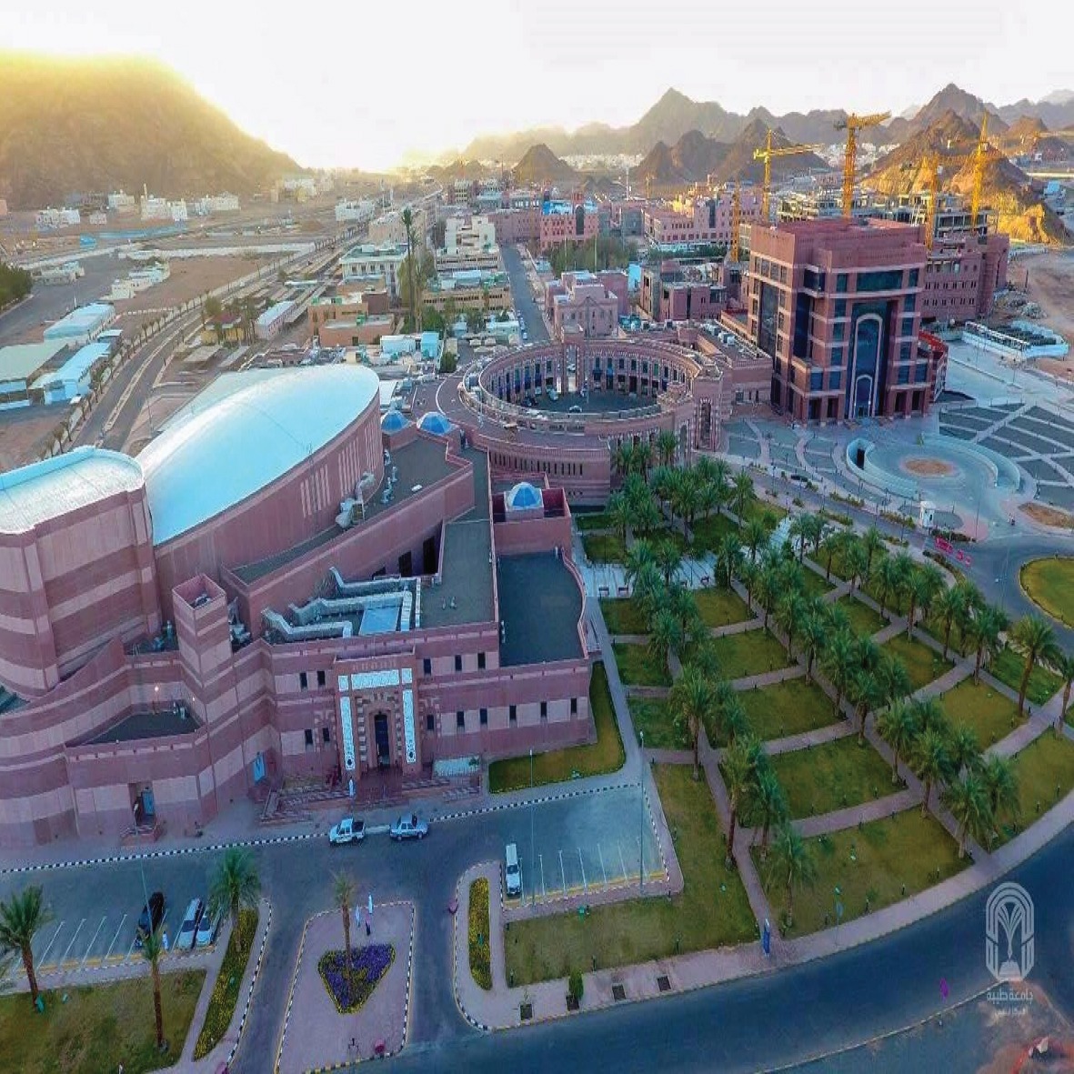 WhatsApp Image 2025-01-05 at 6.54.53 PM