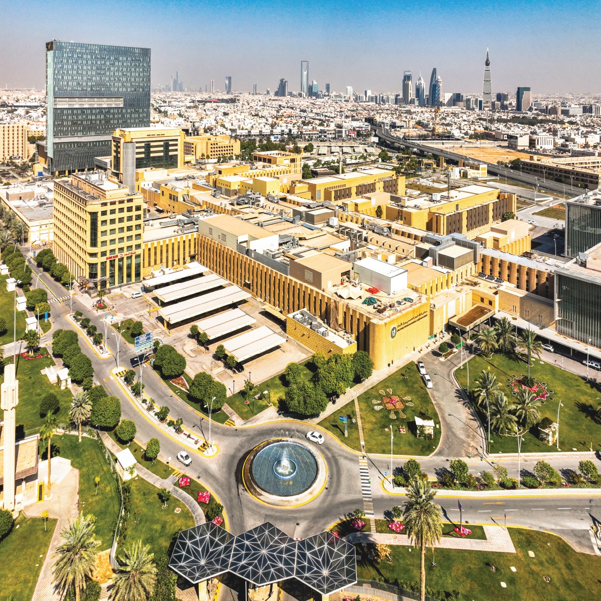 WhatsApp Image 2025-01-05 at 7.03.54 PM (1)